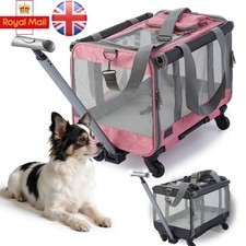 Airline Approved Pet Carrier