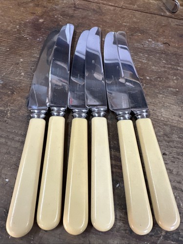 Sheffield stainless dinner - stainless,