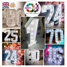 4ft Big Giant LED Light Up Numbers, Fairground Birthday, Marquee, Party Event
