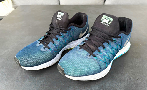 Nike zoom pegasus - zoom,