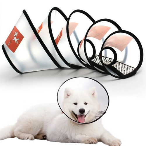 Elizabethan pet protective - elizabethan,
