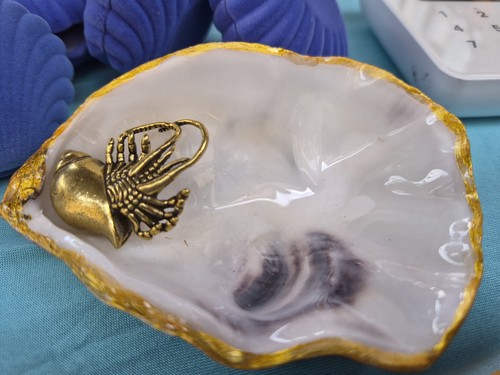 Resined oyster shell with - shell,