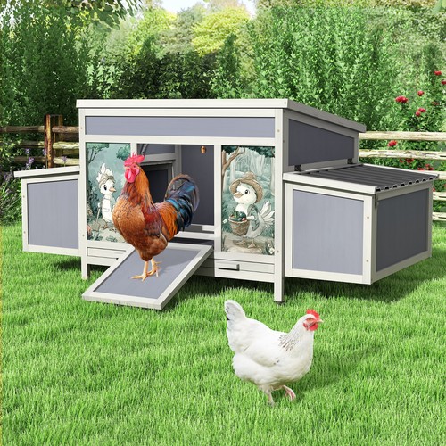 Coziwow wooden chicken coop - coziwow,