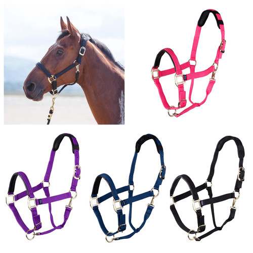Shires arma topaz nylon - shires,
