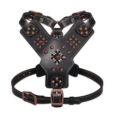 Genuine Leather Rivet Studded