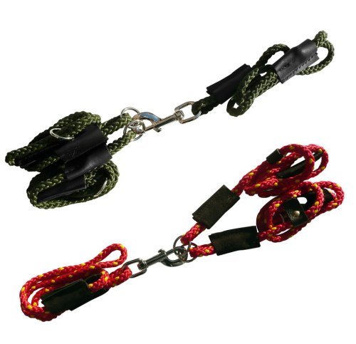 Gundog dog training twin - twin, brace