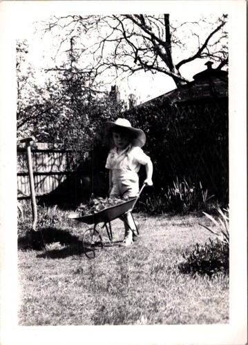 Old photo small boy - small,