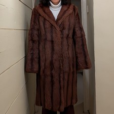 Vintage Striped Brown Rex