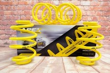 Apex lowering springs for Renault Clio C 1.2 (05 to 09) - 150-4200