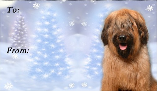 Briard christmas labels - briard, by