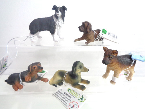Bundle dog and - bundle,