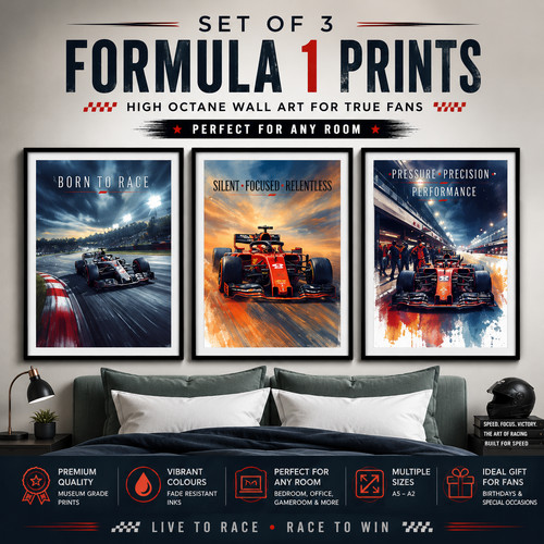 Racing car wall art - f1,