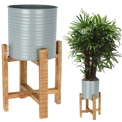 50cm tall green - green, plant