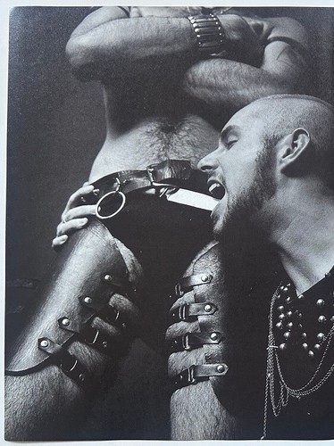 Frankie goes hollywood - frankie,