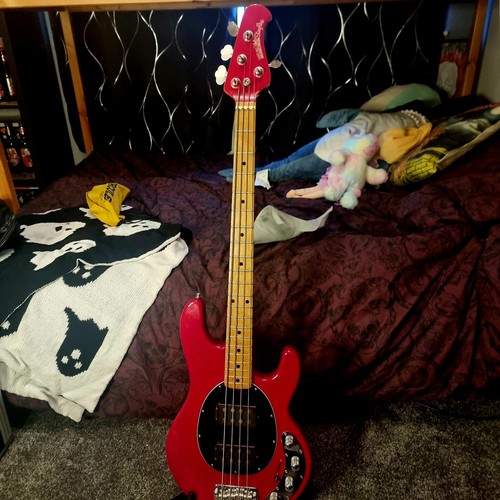 Ernie ball music - ernie,