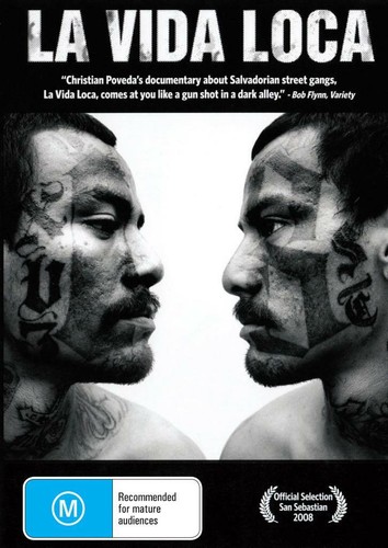 Vida loca el salvador - la,