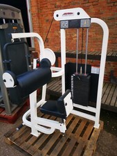 Life Fitness Pro Arm Extension