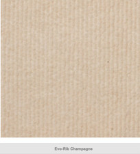 Champagne light cream  Cord