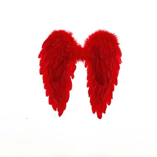 Angel feather wings creative - angel,