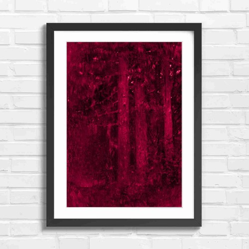Dark forest tree - forest, nature