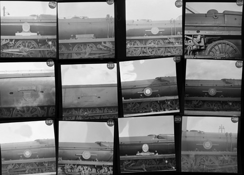 Larger sized w negatives - larger, b&w