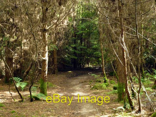 Photo 6x4 mountain - 6x4, trail