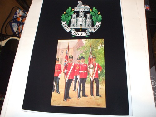 The essex regiment - the,