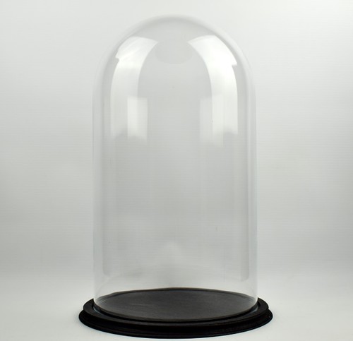 Clear circular glass dome - circular,