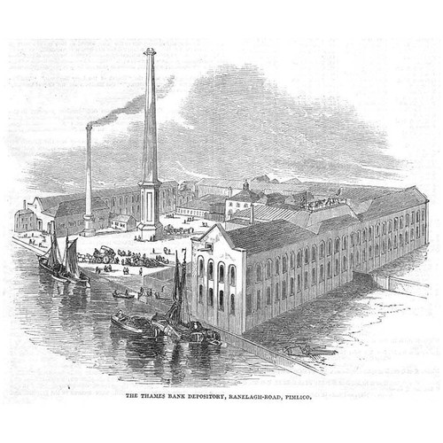 Pimlico the thames - pimlico, bank