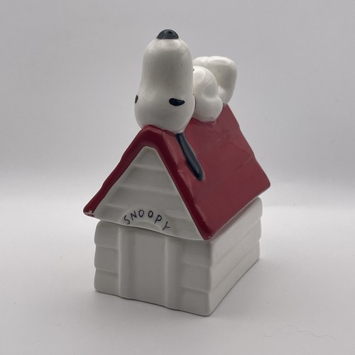 Vintage snoopy doghouse - doghouse, salt