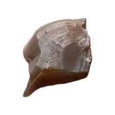 Extremely Rare Prehistoric Bronze Age Tiny Flint Leaf-Shaped Tanged Arrow Head 