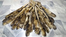Genuine Finn Raccoon fur