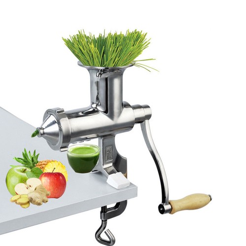 Stainless steel wheatgrass - steel,