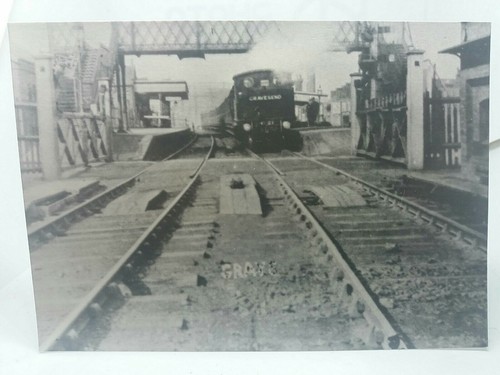 Steam train gravesend - to,