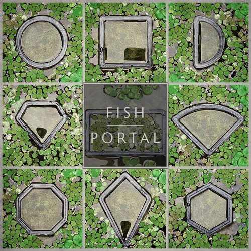 Fish tank feeding ring - fish,