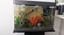 64L Lovefish Panorama Aquarium With Stand and accessories