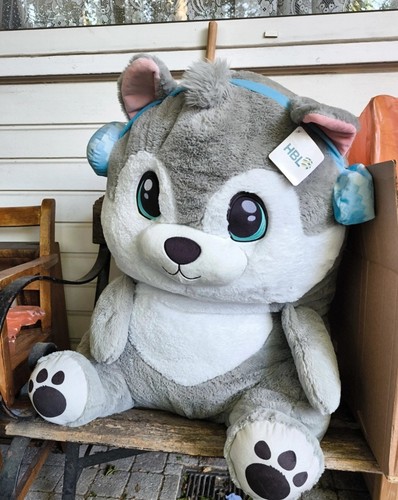 Large cute husky - large,