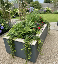 GRANDE NEXUS TROUGH +EDGING