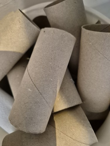 Natural cardboard toilet - cardboard, roll