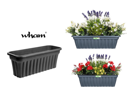 Wham vista graphite - wham,