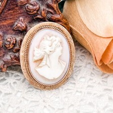 Antique pink conch - conch, shell