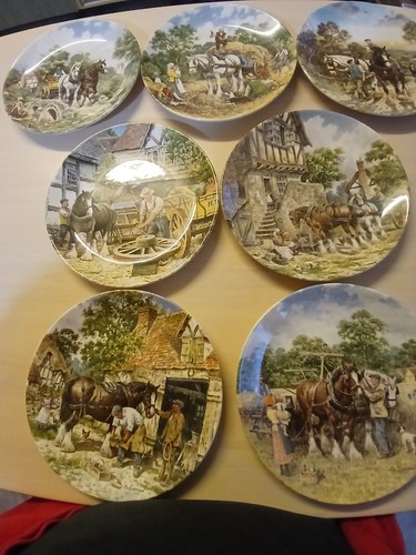 Wedgewood plates life - wedgewood, the
