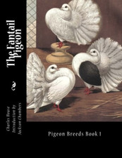 The fantail pigeon - pigeon:,