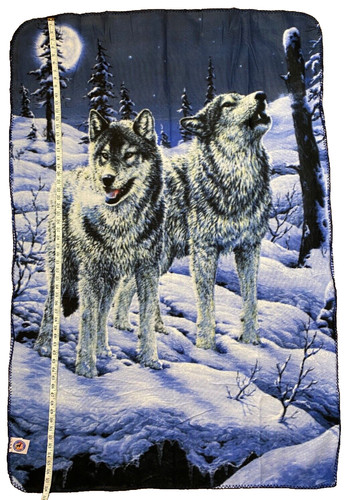 Defenders wildlife wolf - defenders, of