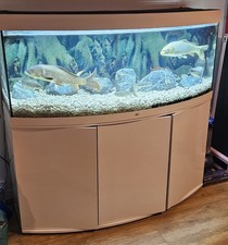 JUWEL VISION 450L LED 151CM