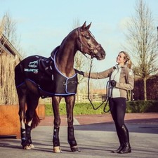 Veredus Magnetic Rug, Size