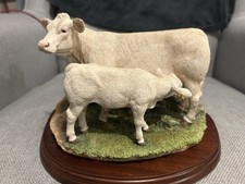 Border Fine Arts : A9631 Charolais Cow & Calf