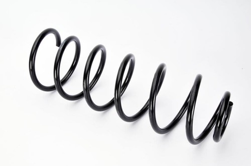 Magnum technology springs rear - springs,