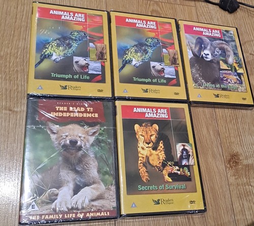 Animal wildlife dvds job - dvds,