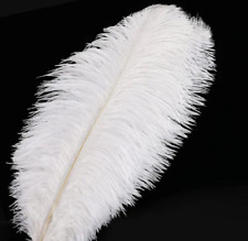 Solid Colour Ostrich Feathers